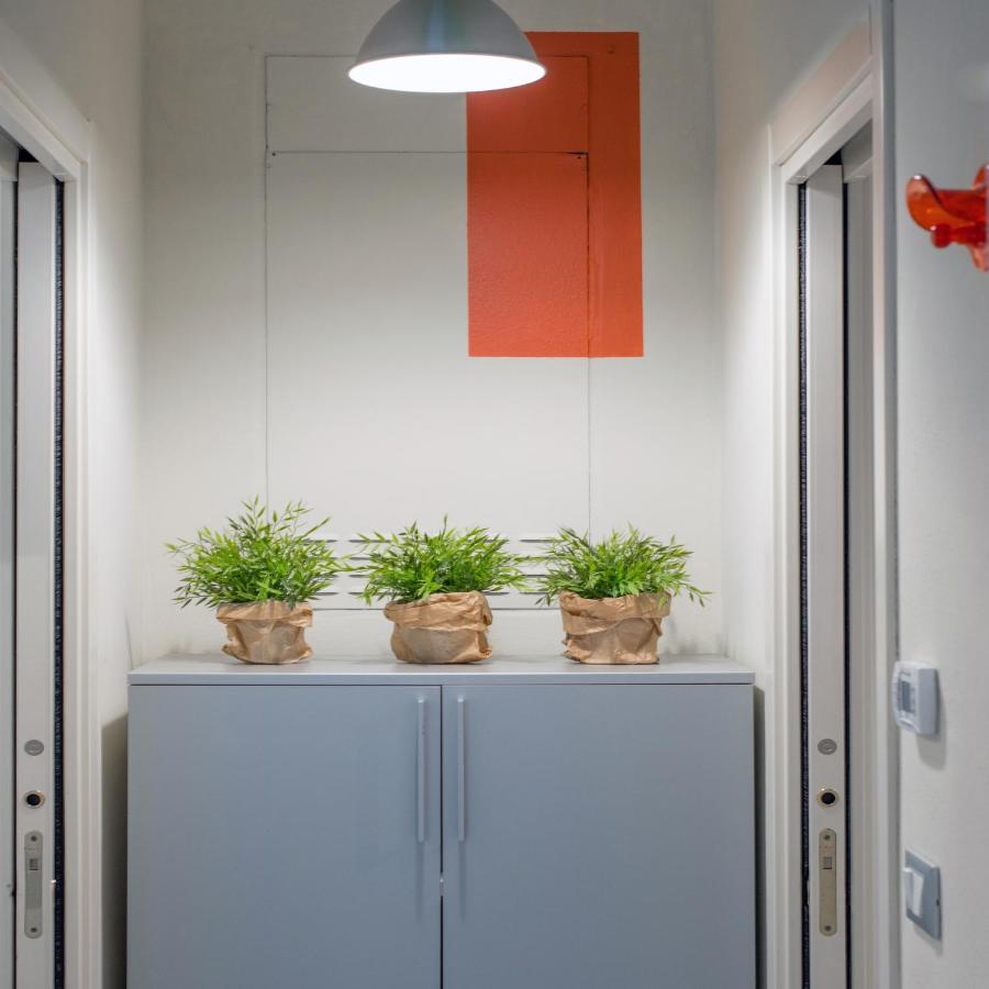 Babyaccommodation Family Sea & Box 皮特拉利古 外观 照片